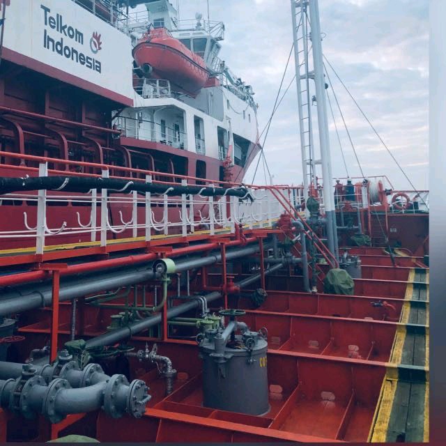 WhatsApp Image 2026-03-02 at 12.41